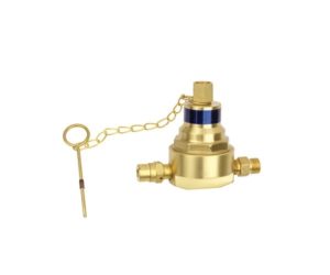Flashback Arrestors Regulator Type 79